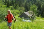 2014-07-05_Laengental-N-Hochweg (567). JPG
